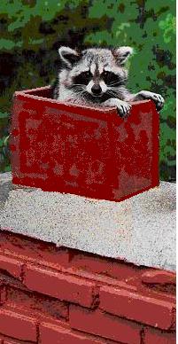 chimneycoon4.jpg