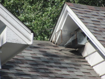 Trap Set For Raccoon's Exit